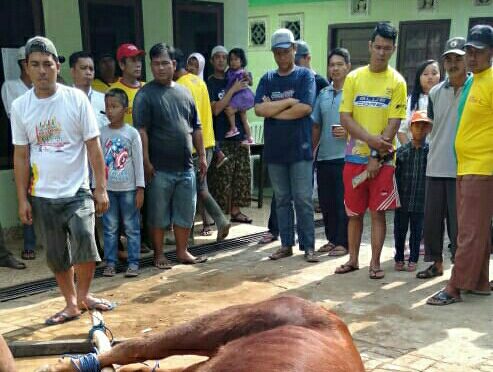 Saat proses penyembelihan sapi pelaksanan Korban di Masjid Arrahman Kel. Srijaya Kec. Alang Alang Lebar
